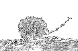 kashtan Bosib Chiqarish Uchun Bo'yash Sahifalari